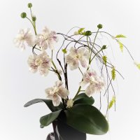 Orchideensträuße