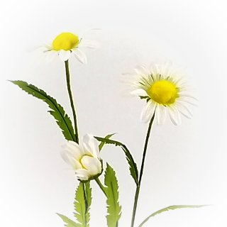 Sebnitz, Kunstblume 5,38 € Sebnitz, Sebnitzer Kunstblumen, Seidenblumen