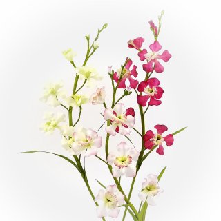 Orchidee "Mini"