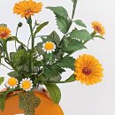 Strauß mit Ringelblumen, inclusive Vase