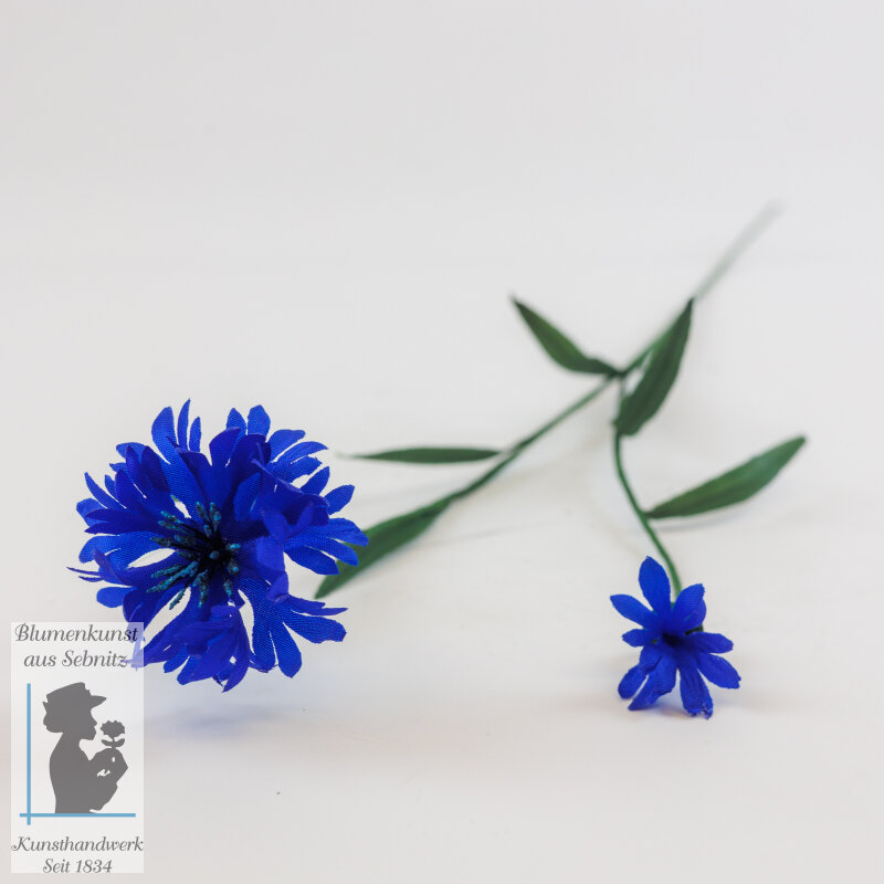 Kornblume, dunkelblau, 6,64 €