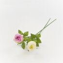 Edelrose