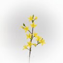 Forsythienzweig, klein