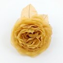 Ansteckrose, goldbraun