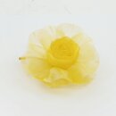 Ansteckrose, gelb