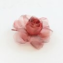 Ansteckrose, rot