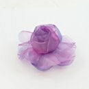 Ansteckrose, lila