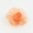 Ansteckrose, orange