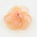Ansteckrose, orange