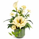Topf mit Exotica in creme