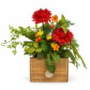 Holzkiste mit Chrysantheme