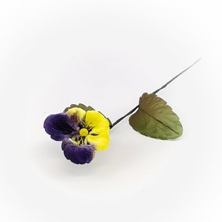 Gelb-Violett